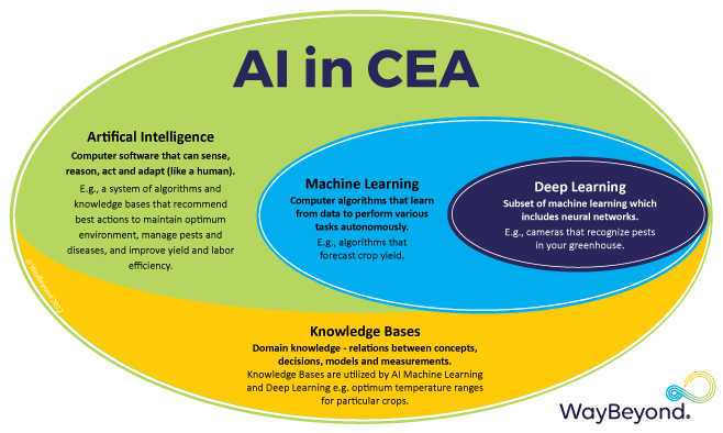 AI in CEA diagram