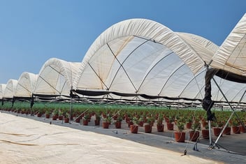 WayBeyond’s digital agronomy solution, FarmRoad, provided data visibility for better grower decision-making.