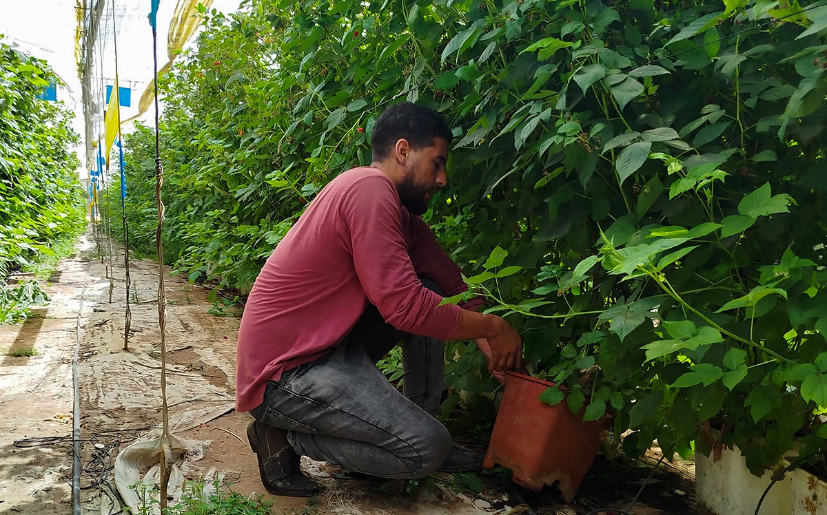Anas holding pot in greenhouse-2