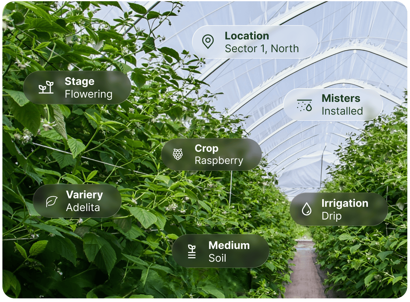 Contextual crop intelligence image _2