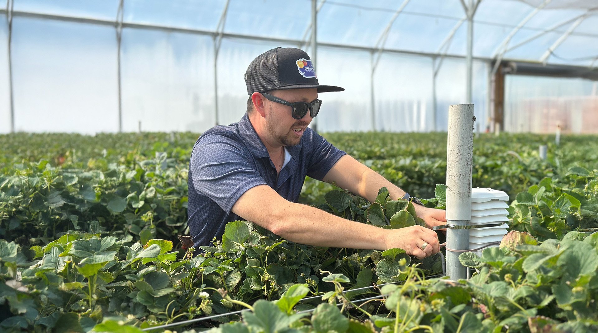 Daniel on farm securing sensor