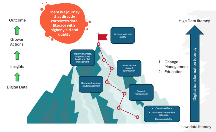 Data literacy journey diagram-1