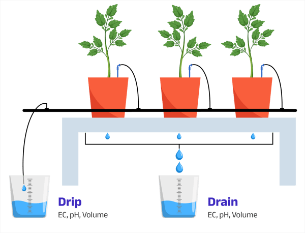 Drip and Drain Illustration