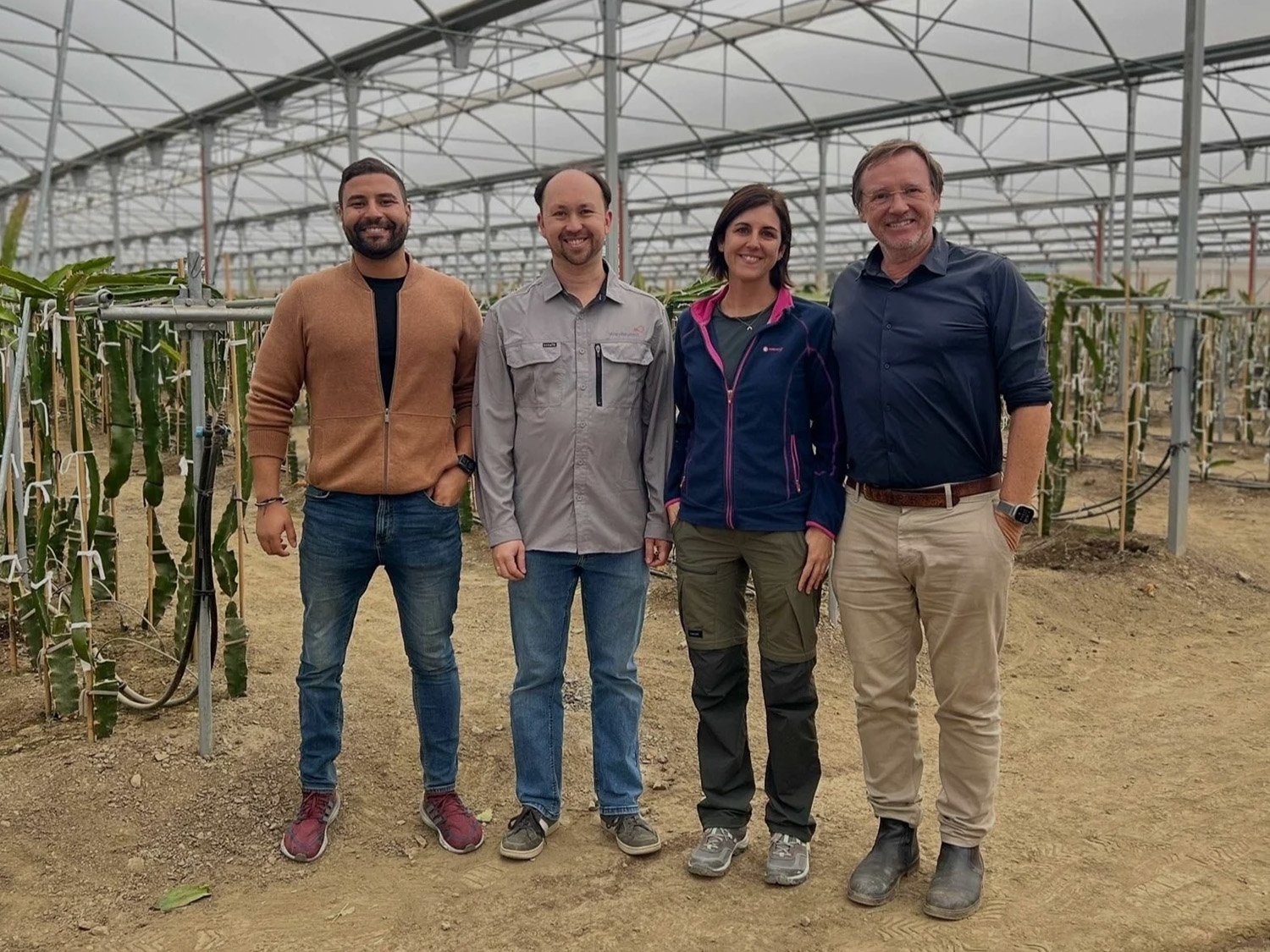 Eliven tropical and WayBeyond