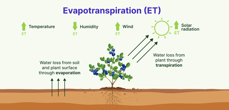 Evapotranspiration diagram