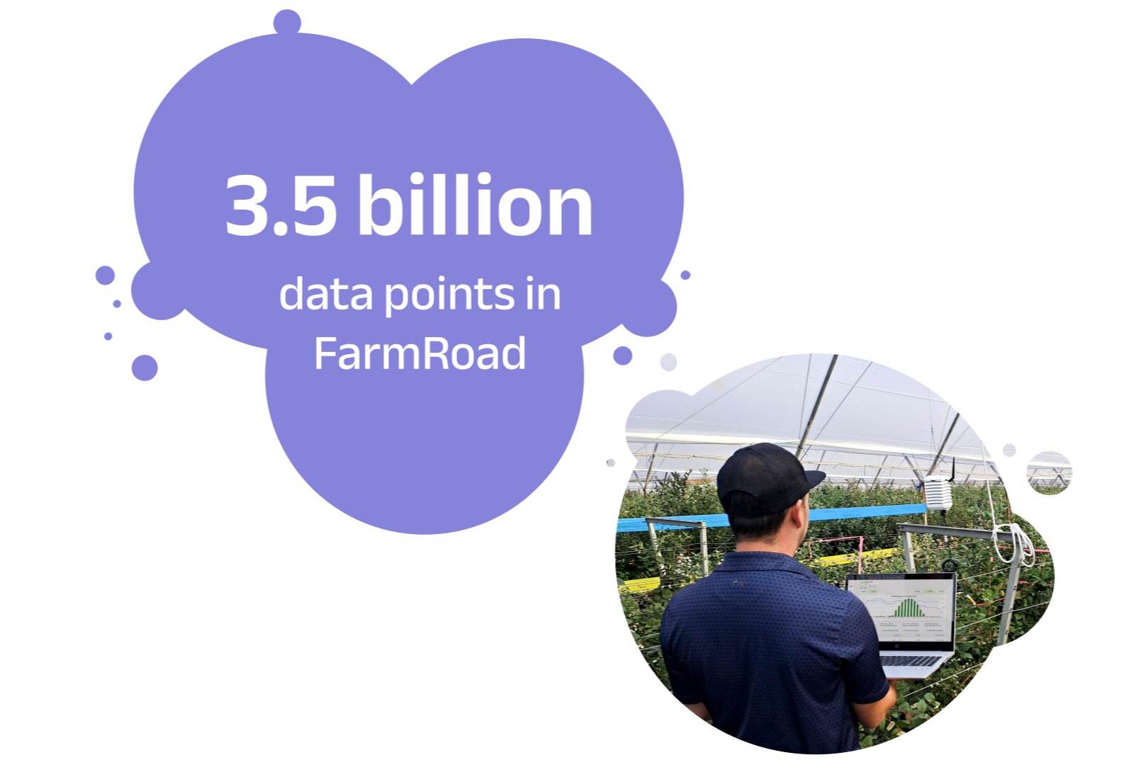 FarmRoad data points_-1