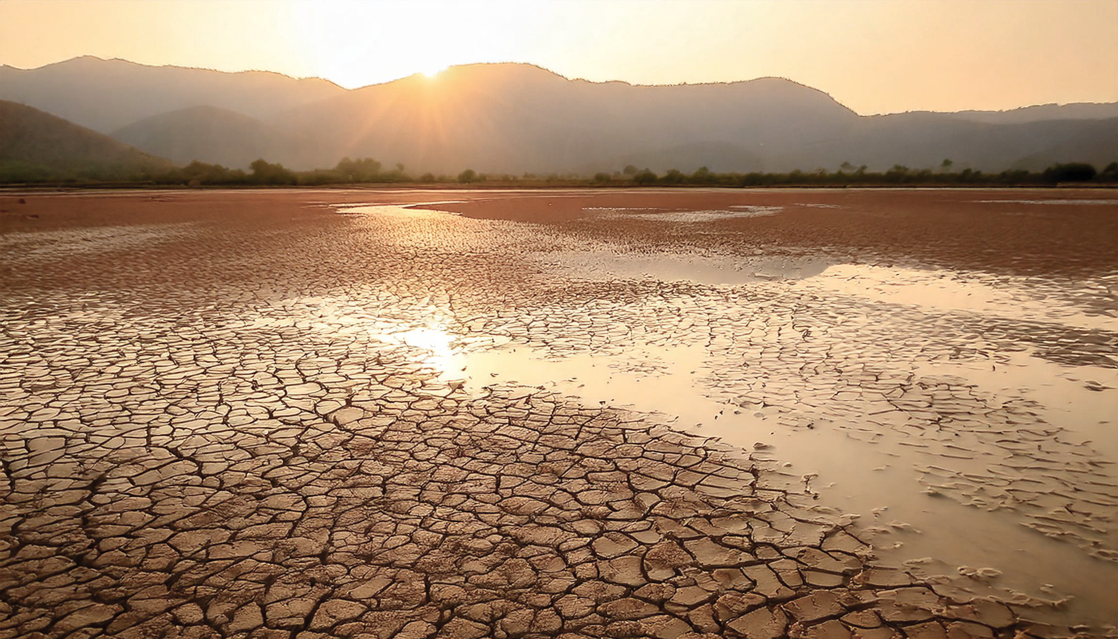 Firefly water scarce land 77674