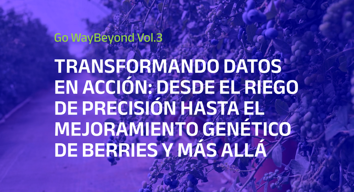 Go WayBeyond Vol.3 Spanish  1200 x 651