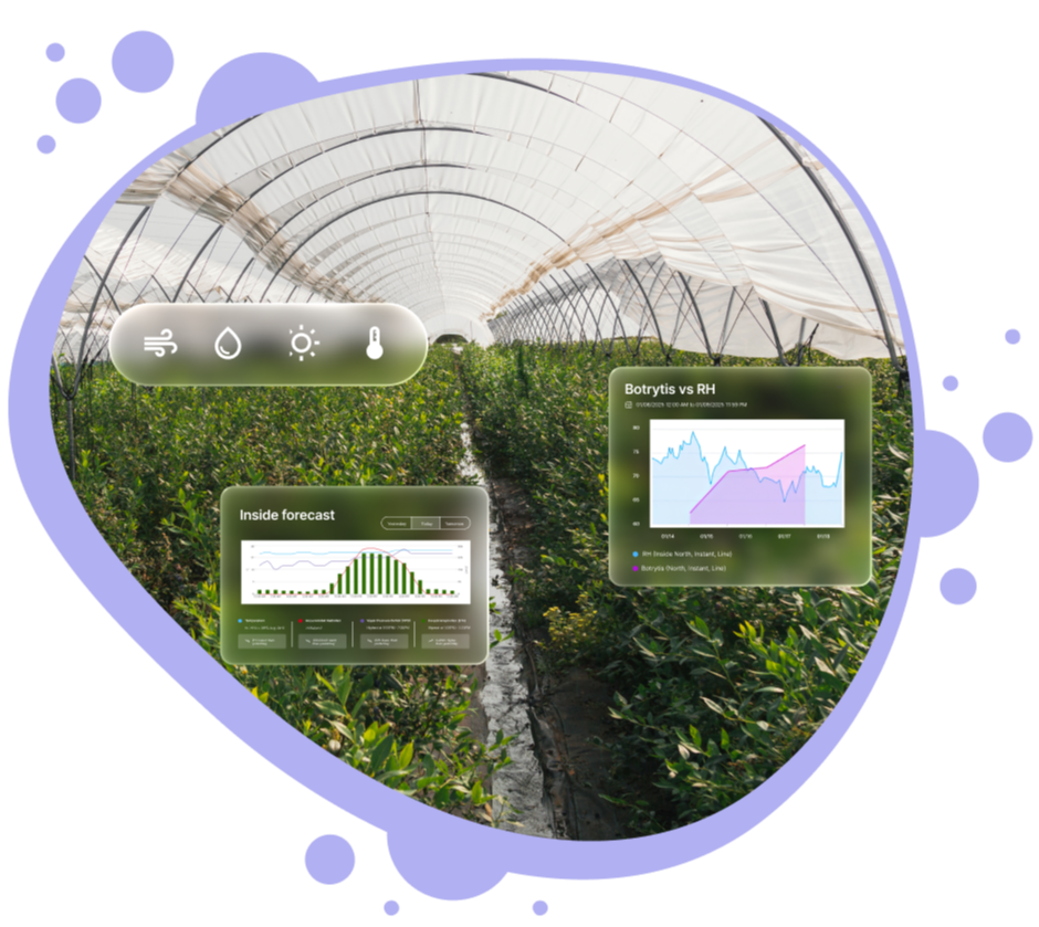 Greenhouse hero image (3)-1
