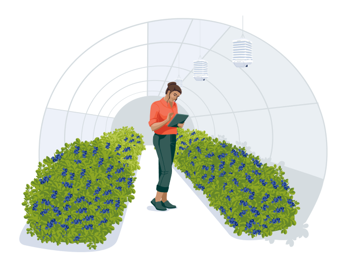 Grower using digital agronomy technology