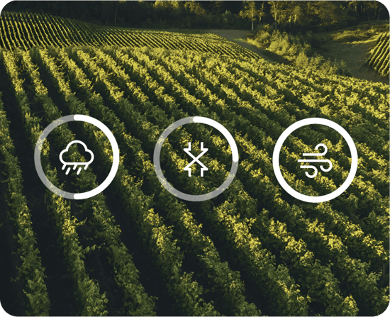Risk warning for rainfall, plant stress, and high winds for an open crop field