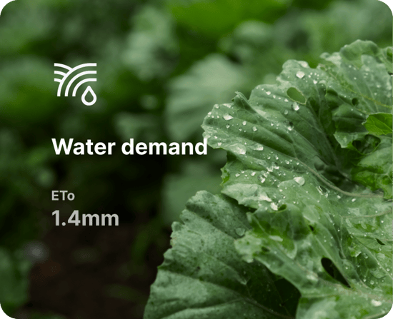 Evapotranspiration water demand insights for a crop