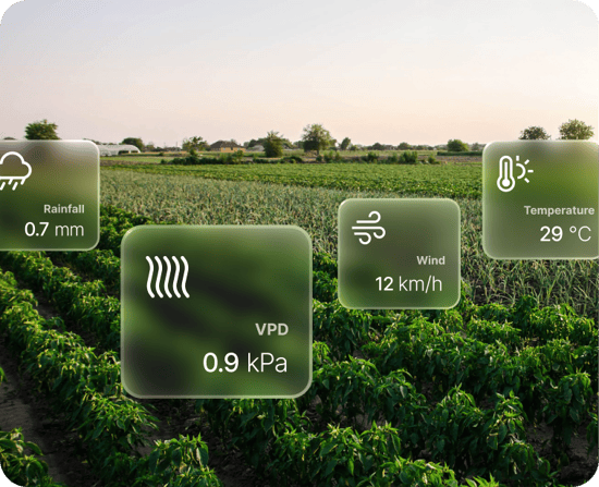 Open crop field with weather and climate forecast data for rainfall, VPD, wind, and temperature