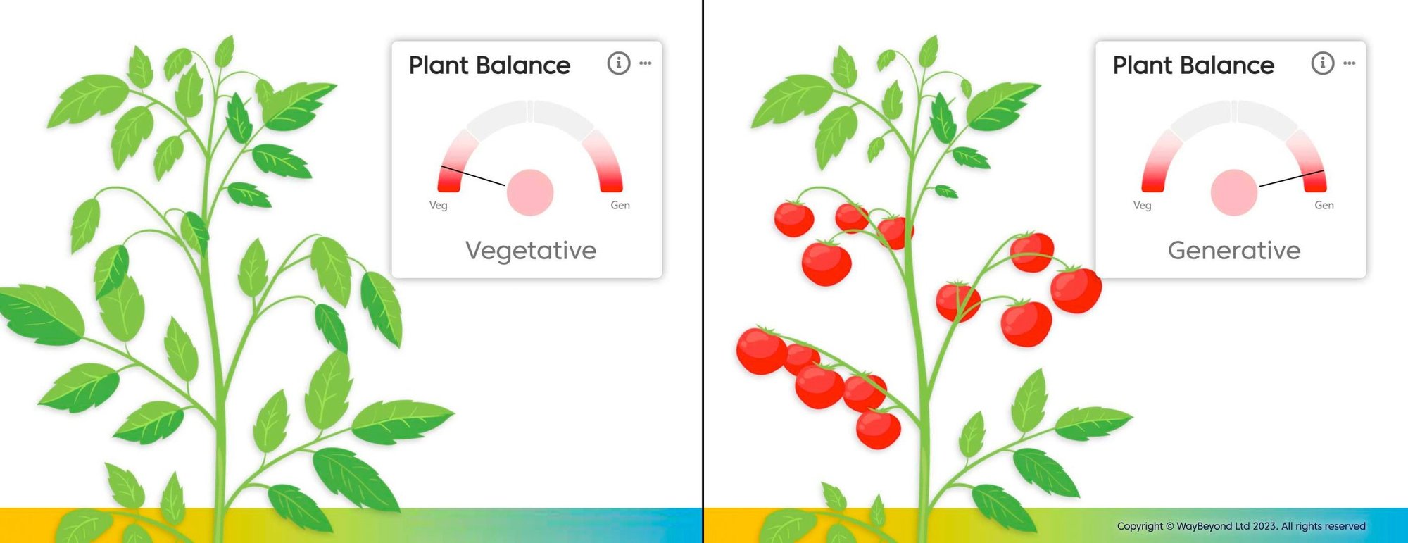 plant-balance-side-by-side