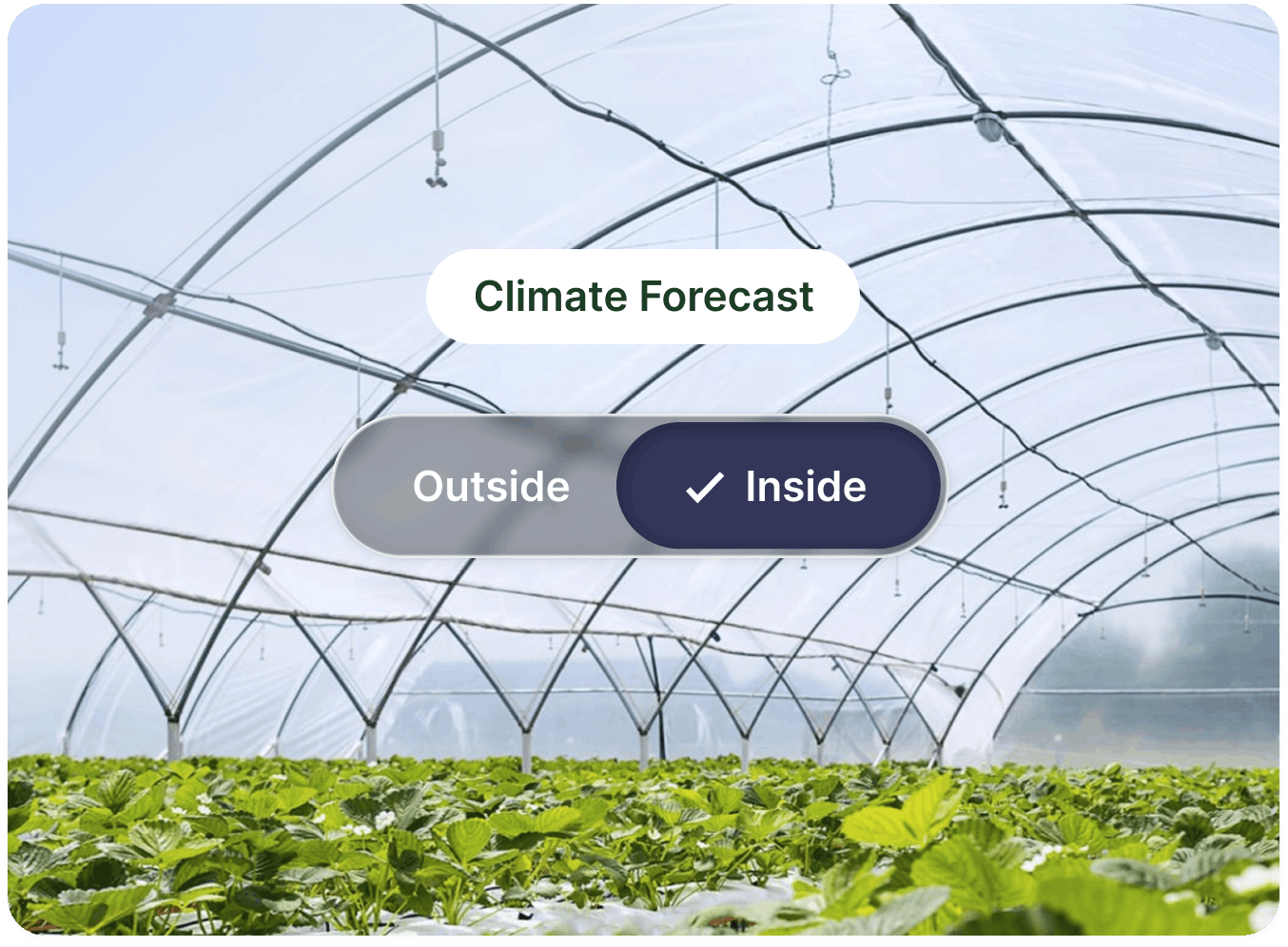 Inside climate forecast image