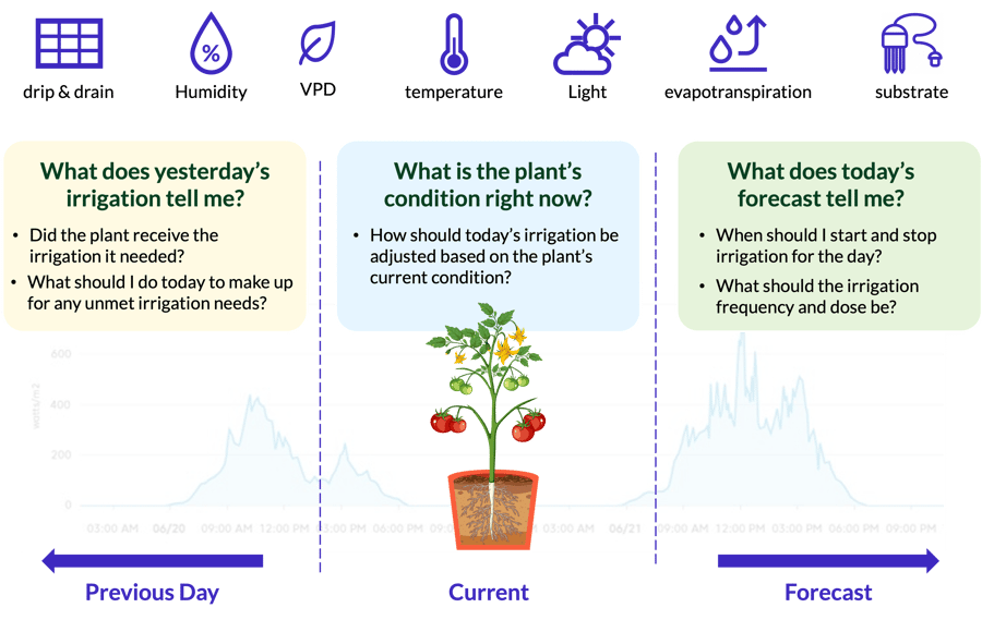 Irrigation - yesterday, current, forecast