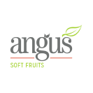 angus-logo