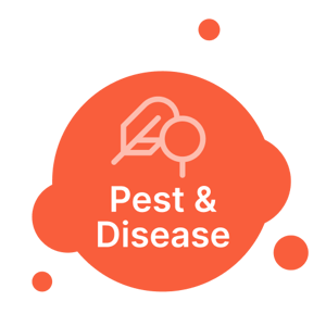 Pest and disease - 500x500