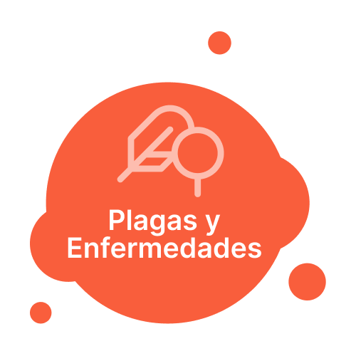 Pest and disease icon - ES - 500x500