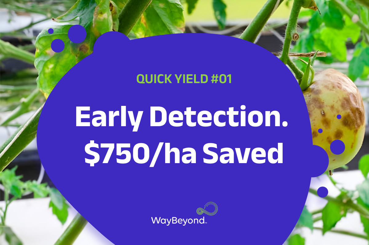 Quick Yield #01 - 1200 x 800 px (1)