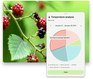 Rapberries-climate-analysis