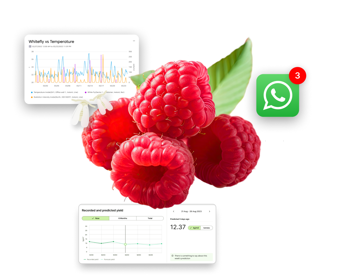 Raspberry-crop-hero-HD