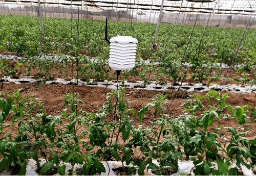 The FarmRoad solution on the farm