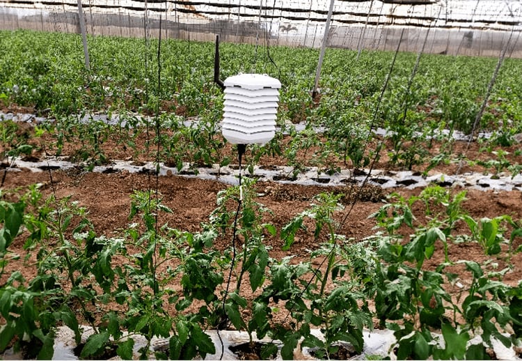 The FarmRoad solution on the farm