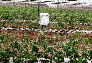The FarmRoad solution on the farm