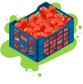 Tomato-crate