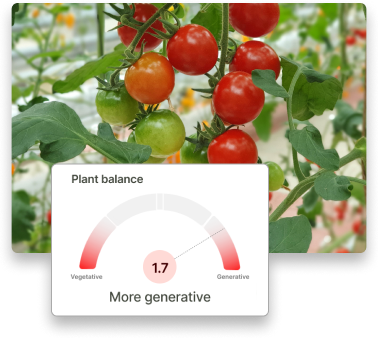 FarmRoad-plant-balance-indicator
