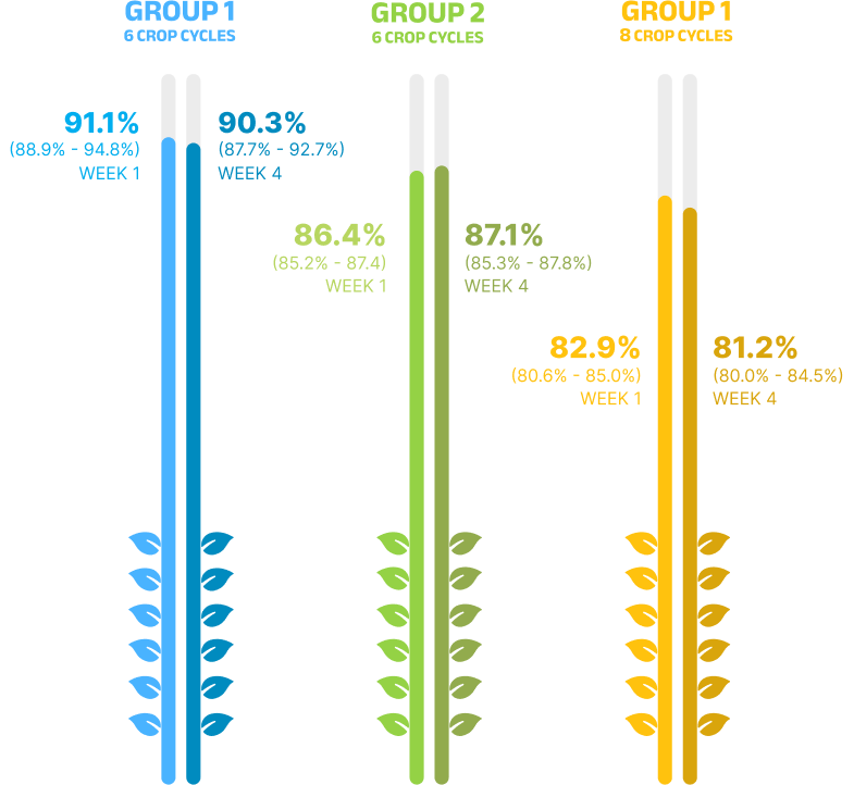 yield-swing-groups