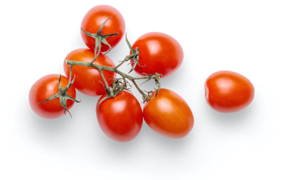 tomatoes-on-vine