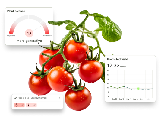 Optimize your crop outcomes with the FarmRoad crop management software