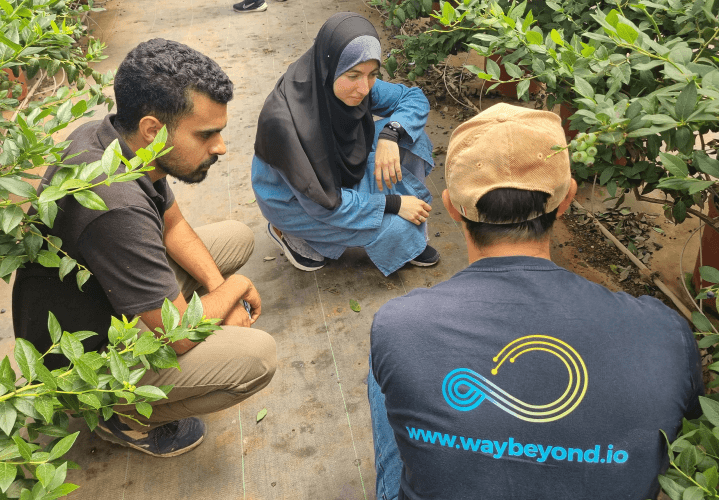 WayBeyond team member and growers reviewing blueberry crop at African Blue