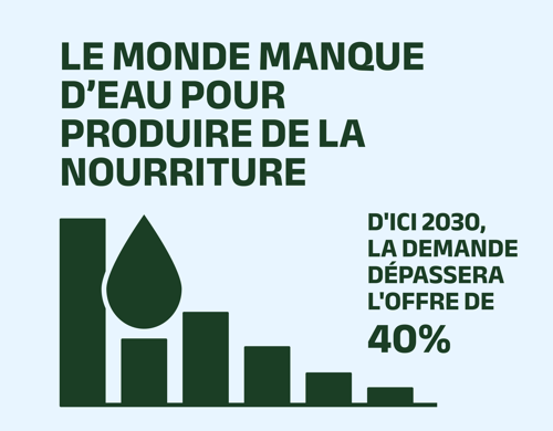 Water graphic - French