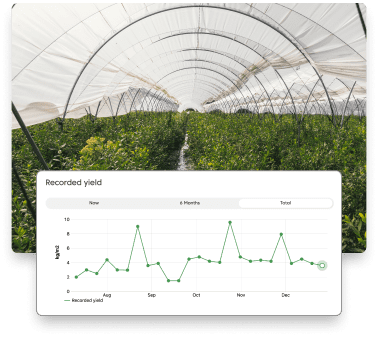 FarmRoad-harvest-dashboard