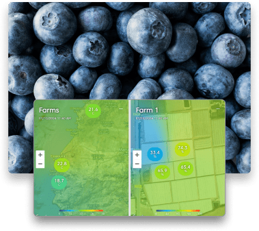 FarmRoad-blueberry-2heatmaps