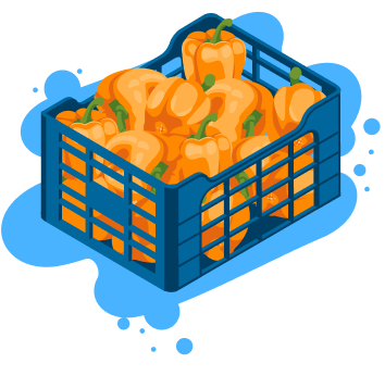 capsicum-crate-blue-splotch