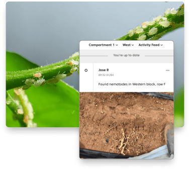 FarmRoad-activity-feed-pest