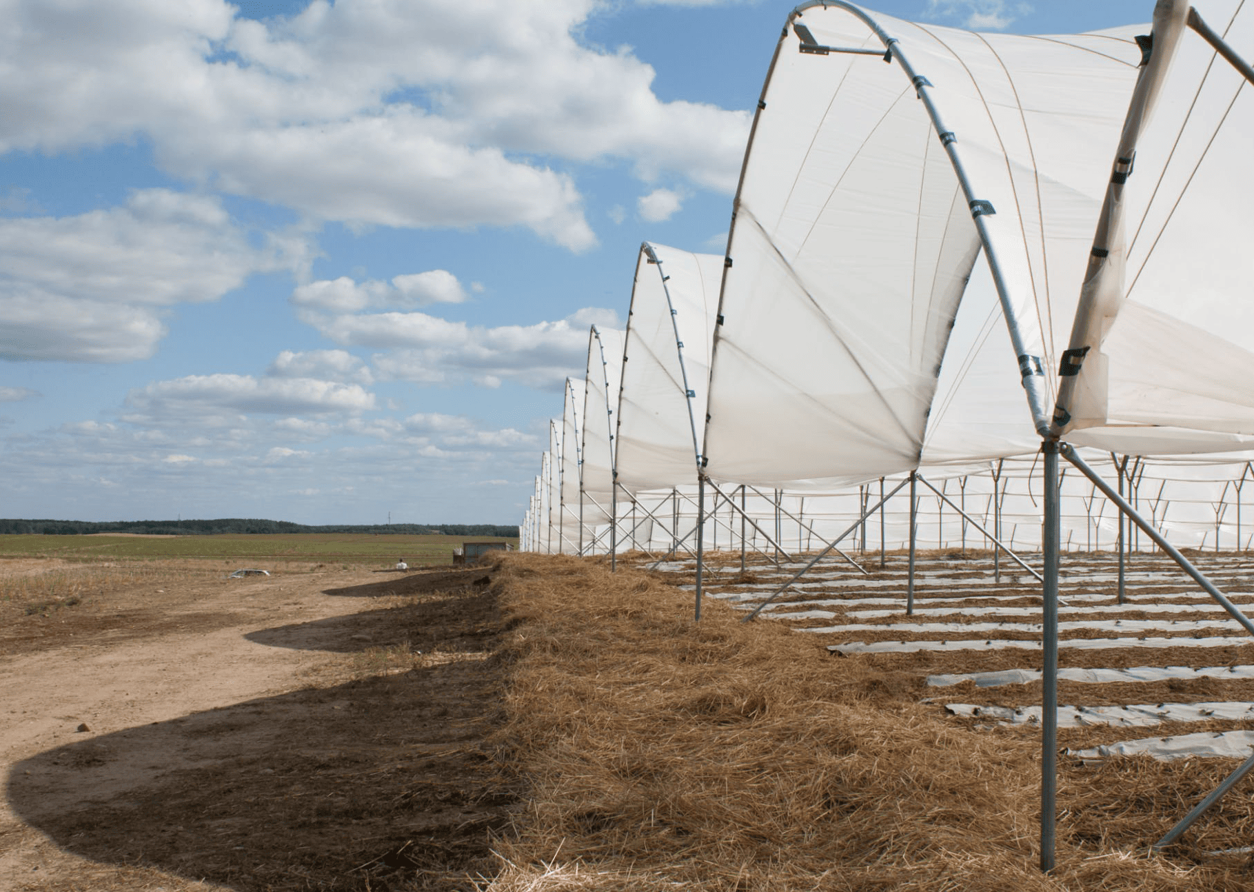polytunnel farm in drought conditions