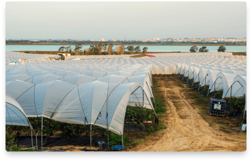 farm-investor-page