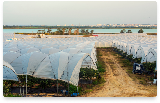 farm-investor-page