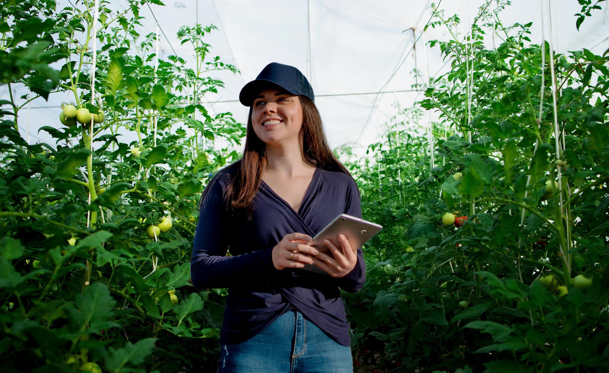 female-farmer-in-tomato-greenhouse-holding-tablet