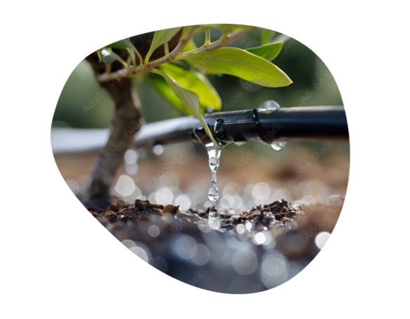 irrigation-hero