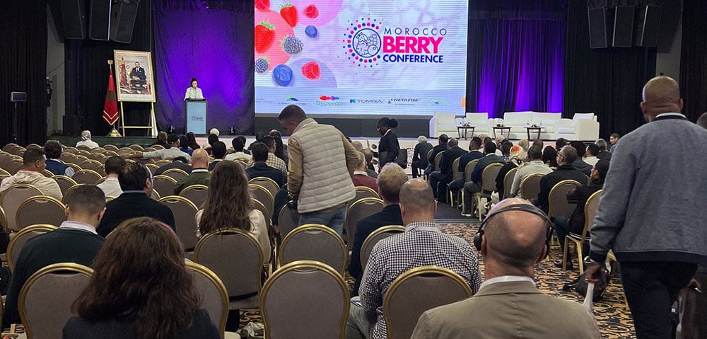 Morocco Berry Conference presentation