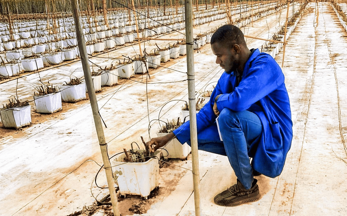 optimized blog 2 image-min