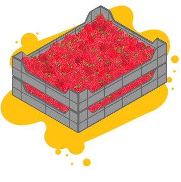 raspberrie crate