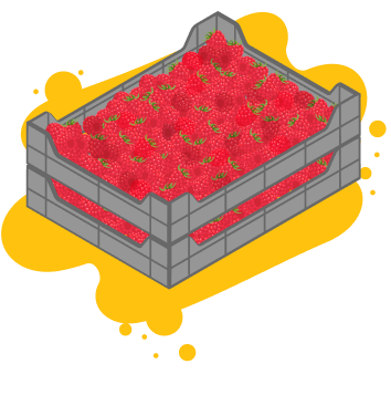 raspberry-crate