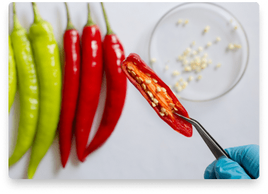 pepper-seeds